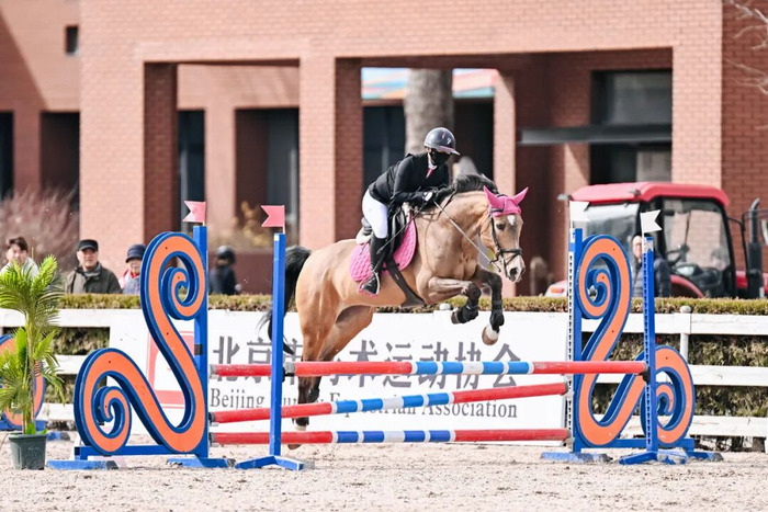 世界杯高清直播-联赛专访｜吴璨彤：“我愿意永远相信我的战友，永远跟牠们并肩作战”|马术|搭档|教练|比赛|俱乐部联赛_新浪体育_新浪新闻